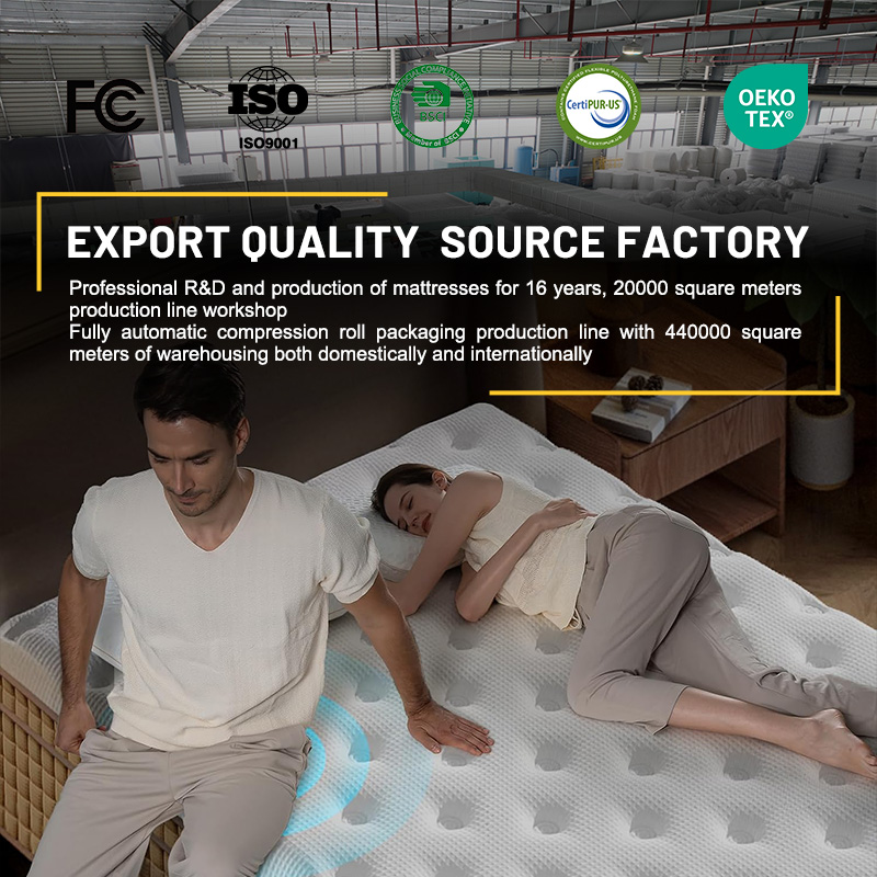 Kasur Busa Memori Terkompresi  - Memory Foam Mattress In A Box Queen ulasan dan harga